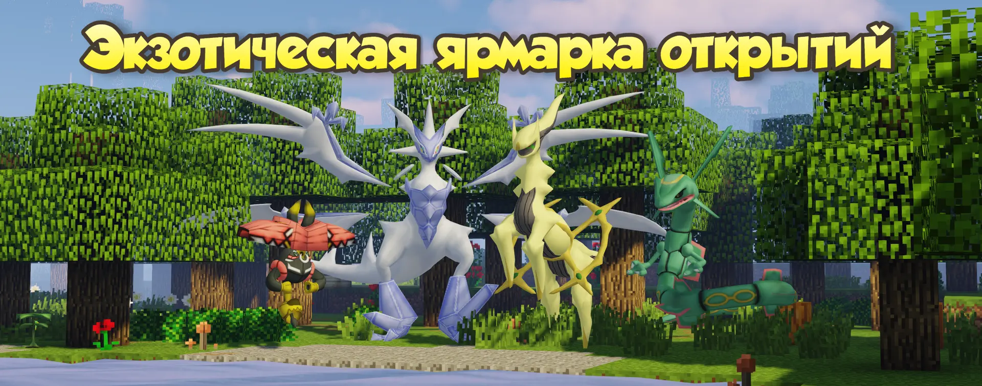 1000050264.webp